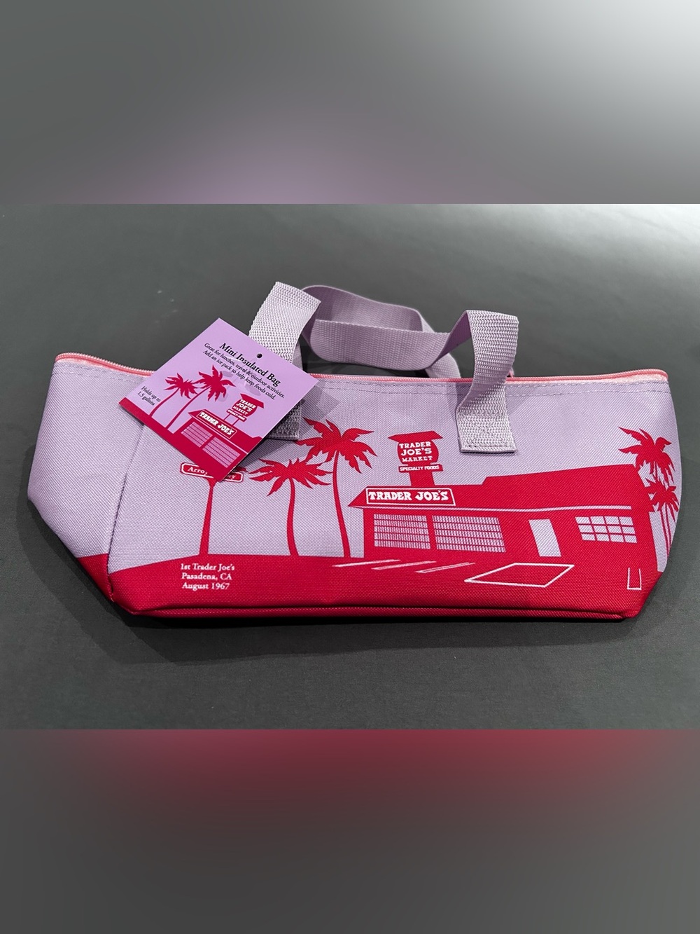 Trader Joe’s Mini Cooler Bag